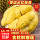 【金枕榴蓮】泰國進(jìn)口金枕榴蓮新鮮水果當季帶殼一整個(gè)巴掌榴蓮肉 香甜金枕2-3斤(單果)保三房