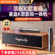 金運【行業(yè)TOP】家庭ktv唱歌全套設備K歌麥克風(fēng)音箱一體機家用卡拉ok電視點(diǎn)歌功放藍牙音響帶系統V1pro