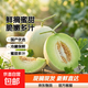 【東東農場(chǎng)專(zhuān)供】玉菇甜瓜新鮮脆甜現摘現發(fā)新鮮蜜甜甜瓜整箱 玉菇帶箱2-3斤