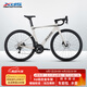 喜德盛公路自行車(chē)AD300油碟UCI車(chē)架2x10速中空一體牙盤(pán)桶軸破風(fēng)車(chē) 白蛇 480mm（適合身高165-175cm）