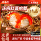 紅膏嗆蟹整只即食醬母蟹寧波特產(chǎn)熗蟹梭子蟹咸蟹螃蟹生腌海鮮醉蟹 【單只2-3兩】4只 不含水凈重