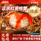 紅膏嗆蟹整只即食醬母蟹寧波特產(chǎn)熗蟹梭子蟹咸蟹螃蟹生腌海鮮醉蟹 【單只凈重6-8兩】2只 大號熱賣(mài)