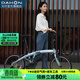 大行（DAHON）P10折疊自行車(chē)20英寸10速鋁合金男女運動(dòng)通勤V剎折疊車(chē)PAA003 消光灰藍