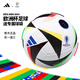阿迪達斯 （adidas）歐洲杯足球5號成人4號足球兒童青少年訓練比賽標準足球專(zhuān)業(yè)中考 5號 歐洲杯IN9366 比賽訓練球