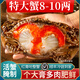 紅膏嗆蟹整只即食醬母蟹寧波特產(chǎn)熗蟹梭子蟹咸蟹螃蟹生腌海鮮醉蟹 【單只凈重6-8兩】4只 大號熱賣(mài)