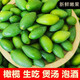 榮嶸現(xiàn)貨新果橄欖新鮮青果沙欖白欖青欖水果孕婦燉豬肚
