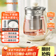九陽(yáng)（Joyoung）1.5L養生壺 0膠水煮茶器 316L不銹鋼電燒水壺 保溫花茶壺 帶濾網(wǎng) WY303