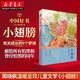 小翅膀 周曉楓京東文學(xué)獎(jiǎng)入圍書籍2018中國(guó)好書獻(xiàn)給所有拍黑的童年湖北新華書店正版圖書籍