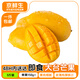 京鮮生 大臺芒果3斤裝 單果150g+ 生鮮水果源頭直發(fā)