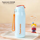 特百惠（Tupperware）吸管保溫杯510ml大容量運動(dòng)水杯子男女士泡茶杯三八節禮物 馬卡藍