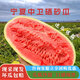 小茅灘寧夏中衛(wèi)硒砂瓜富硒西瓜石縫瓜當(dāng)季新鮮水果沙瓤壓砂瓜西瓜 18-20斤硒砂瓜【口感的開始】