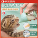 貓咪奶瓶幼貓防嗆奶瓶貓狗專用耐咬寵物小貓幼犬喂奶喂食奇跡奶嘴 綠色30ml（新生奶貓狗款）