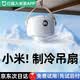 杜美森宿舍吊扇床上電風扇靜音懸掛小風扇蚊帳風扇usb戶外露營帳篷小吊扇遙控便攜臥室充電風扇小型風寶 【10000毫安】3米充電線丨5檔冷風丨米家APP 3檔護眼燈丨遙控定時丨模擬自然風丨桌/掛兩用