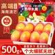 京地達海南澳芒新鮮芒果禮盒凈重8斤單果1斤+ 應季水果源頭直發包郵
