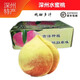 獨(dú)愛正宗河北深州水蜜桃大蜜桃6個裝現(xiàn)貨單果 1斤左右壽桃