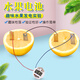 可普（kepu） 水果電池 水果發(fā)電科學(xué)實(shí)驗(yàn)器材物理原電池材料教學(xué)磁鐵套裝兒童小學(xué)生diy制作套裝