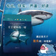 關(guān)于鯊魚(yú)的一切