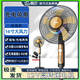 林邊充電風扇家用落地扇充插兩用多功能照明無線戶外式太陽能風扇 16寸金色【充插兩用款/內置5200豪安電池】
