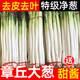 農大姐妹大蔥特產(chǎn)紅蔥頭10斤/5斤鐵桿甜脆章丘大蔥新鮮蔬菜山東香正宗 5斤2500g2500g 5斤