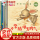 不要隨便發(fā)脾氣全8冊 兒童情商管理寶寶啟蒙早教書(shū) 3-10歲兒童睡前故事書(shū)繪本 我會(huì )表達自己幼兒書(shū)籍兒童節童書(shū)節