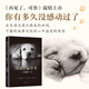 再見(jiàn)了可魯(一只狗的一生) 石黑謙吾