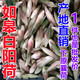 白蘘荷【順豐】農(nóng)家白陽荷新鮮綠陽荷 青陽荷姜 1斤 新鮮白陽荷