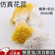 澳顏萊660根仿真花蕊彩色花心手工DIY絲網(wǎng)花玫瑰扭扭棒花芯花藝材料配件 仿真花芯2捆 【橘黃+奶白】 1捆約330根左右】