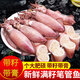 海兔子滿籽鮮活筆管魚海鮮新鮮全籽籽烏冷凍墨魚仔烏賊小魷魚水產(chǎn) 滿籽筆管魚  2斤（8-14只/斤）
