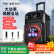 愛(ài)國(guó)者S56 12吋廣場(chǎng)舞音響無(wú)線藍(lán)牙拉桿音箱大功率戶外音響K歌便攜雙麥克風(fēng) S56【12吋重低音】單話筒