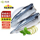 皮小鮮皮小鮮進(jìn)口挪威青花魚(yú)片 鯖魚(yú)2kg 生鮮深海魚(yú)類(lèi)日料烤魚(yú)中秋送禮 【6片裝  960g】約160g/片