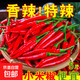 小米椒新鮮特辣朝天椒現摘現發包郵山東產區直發 家庭裝帶箱2斤（凈重1.8斤）