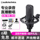 鐵三角（Audio-technica） AT4033A電容麥克風(fēng)專(zhuān)業(yè)合唱錄音棚主播直播話(huà)筒 鐵三角AT4033A標配送配件