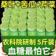 手工桑葉苦瓜芹菜面條綠色果蔬掛面粗糧健身代餐飽腹早 【營(yíng)養(yǎng)豐富】桑葉苦瓜芹菜面500g*2袋
