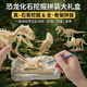 尚美貝貝兒童考古挖掘恐龍玩具模型手工diy玩具拼接石膏盲盒3-6歲生日禮物