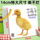 開心寶貝動物卡片早教認知識字看圖識物數字啟蒙書嬰幼兒一歲玩具益智寶寶 【4盒】啟蒙早教卡 動物+水果+蔬菜+交通工具 192張