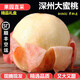 菓靈稥【順豐】深州大蜜桃河北馬莊水蜜桃壽桃新鮮中秋水果禮盒 水蜜桃8個(gè)家庭裝（單果7-8兩） 順豐