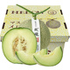 京鮮臻攸玫瓏蜜瓜 冰淇淋網(wǎng)紋甜瓜日本引進品種靜岡網(wǎng)紋蜜瓜整箱禮盒 精選2枚【無禮盒】