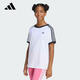 阿迪達斯（adidas）2026年男大童3 STRIPE TEE休閑純棉日常運動短袖圓領T恤 KE0920 均碼 164