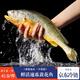 墨妍御鮮 黃花魚(yú) 大黃魚(yú) 深海速凍國產(chǎn)東海大黃花魚(yú) 生鮮 魚(yú)類(lèi) 海鮮水產(chǎn) 1斤/條 2條