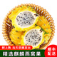 【順豐】當(dāng)季現(xiàn)摘燕窩果 新鮮海南/廣西麒麟果 黃金火龍果水果 【1斤/單果2~3兩】嘗鮮小果