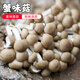 密水農家密云農家 蟹味菇新鮮蘑菇農家自種110g