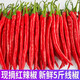 囧仙子新鮮紅線椒紅二荊條紅辣椒貴州紅海椒新鮮蔬菜生鮮剁椒醬配料 紅二荊條5斤