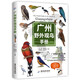 廣州野外觀(guān)鳥(niǎo)手冊