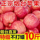 正宗煙臺棲霞紅富士10斤裝蘋果現摘新鮮水果脆甜多汁冰糖心蘋果 特大果【帶箱9-10斤裝】