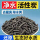 松寶 活性炭?jì)羲^(guò)濾材料錦鯉魚(yú)池椰殼炭活性炭包柱炭形顆粒異味 優(yōu)質(zhì)活性炭 1斤+網(wǎng)袋