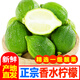 荔鄉(xiāng)人家廣東香水檸檬一級果商用 新鮮青檸檬泡檸檬水手打檸檬茶店用 9個裝 每個約60-80克