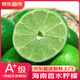 優(yōu)味集香水檸檬5斤新鮮無籽青檸檬當季水果小青檸金桔3斤酸爽多汁 凈重1500g