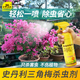 史丹利三角梅專用殺蟲劑除蟲長蟲蚜蟲紅蜘蛛驅(qū)蟲用生去蟲子蟲害葉子蟲藥 500ml 【輕松一噴 除蟲省心】