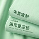 續(xù)印薄荷綠純棉定制T恤工作服印logo夏季圓領(lǐng)短袖畢業(yè)班服訂制文化衫 SRX-210G 短袖 淺綠 2XL