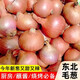 新鮮東北毛蔥頭鬼子蔥農(nóng)家特產(chǎn)小洋蔥頭迷你圓紅蔥頭新蔥整箱批發(fā) 精選 3斤 【凈重2.5-3斤】